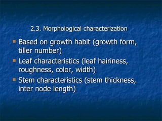 Achievements and outcomes in implementation of Napier smut and stunt resistance project in Tanzania