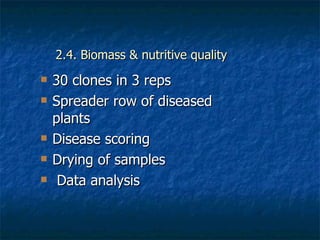 Achievements and outcomes in implementation of Napier smut and stunt resistance project in Tanzania