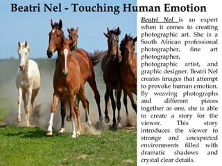 Beatri Nel - South African Photographer | PPT