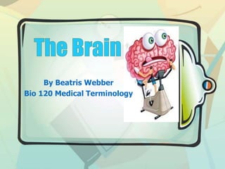 By Beatris Webber 
Bio 120 Medical Terminology 
 