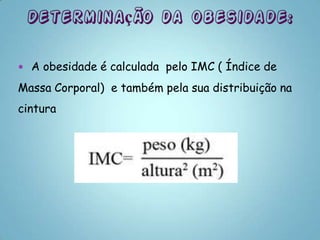  A obesidade é calculada pelo IMC ( Índice de

Massa Corporal) e também pela sua distribuição na
cintura
 
