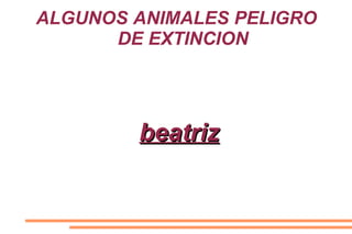 ALGUNOS ANIMALES PELIGRO
      DE EXTINCION




        beatriz
 