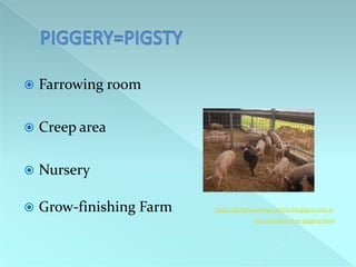 
Farrowing room
Creep area
Nursery
Grow-finishing Farm
http://globalwarming-arclein.blogspot.com.ar
/2011/02/odor-free-piggery.html