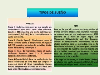 TIPOS DE SUEÑO
REM
Fase en la que el cerebro está muy activo, el
tronco cerebral bloquea las neuronas motrices
de manera que no nos podemos mover. REM
proviene de la frase en inglés Rapid Eye
Movement (Movimiento del Ojo Rápido),
debido al característico movimiento de los
globos oculares bajo los párpados. Ésta es la
fase donde soñamos y captamos gran cantidad
de información de nuestro entorno debido a la
alta actividad cerebral que tenemos. En esta
fase se muestra una actividad cerebral
semejante a la de la vigilia.
A lo largo de la noche, el sueño lento (NREM)
se alterna con sueño paradójico (REM). El total
del sueño paradójico es el 25 % del sueño.
NO REM
Etapa 1 (Adormecimiento): es un estado de
somnolencia que dura unos diez minutos,
donde el EEG muestra una cierta actividad de
onda theta (3,5-7,5 Hz). Es la transición entre la
vigilia y el sueño.
Etapa 2 (Sueño ligero): Disminuyen tanto el
ritmo cardíaco como el respiratorio. El registro
del EEG muestra períodos de actividad theta,
husos del sueño y complejos K.
Etapa 3: Fase de transición hacia el sueño
profundo. Pasamos unos 2 - 3 minutos
aproximadamente en esta fase.
Etapa 4 (Sueño Delta): Fase de sueño lento, las
ondas cerebrales en esta fase son amplias y
lentas así como el ritmo respiratorio. Cuesta
mucho despertarnos estando en esta fase, que
dura unos 20 minutos aproximadamente.
 