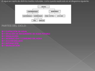 El agua se capta de distintos medios naturales, como queda explicado en el diagrama siguiente:




PARTES DEL CICLO:

✪ 1 CAPTACIÓN DE AGUA
✪ 1 ESTACIÓN DE TRATAMIENTO DE AGUA POTABLE
✪ 1 DESALACIÓN
✪ 1 DISTRIBUCIÓN Y CONSUMO DEL AGUA
✪ 1 ALCANTARILLADO
✪ 1 DEPURACIÓN
✪ 1 REUTILIZACIÓN
 