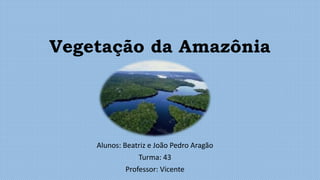 Vegetação da Amazônia
Alunos: Beatriz e João Pedro Aragão
Turma: 43
Professor: Vicente
 