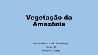 Vegetação da
Amazônia
Alunas: Beatriz e João Pedro Aragão
Turma: 43
Professor: Vicente
 