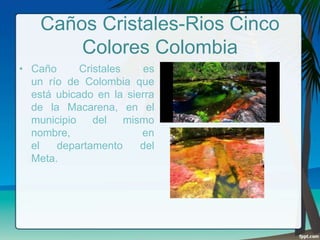 Caños Cristales-Rios Cinco
Colores Colombia
• Caño
Cristales
es
un río de Colombia que
está ubicado en la sierra
de la Macarena, en el
municipio
del
mismo
nombre,
en
el
departamento
del
Meta.

 