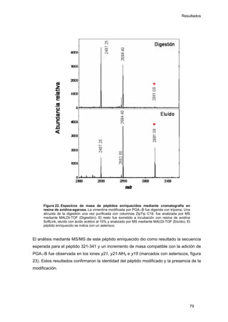 Resultados
Figura 22. Espectros de masa de péptidos enriquecidos mediante cromatografía en
resina de avidina-agarosa. La vimentina modificada por PGA1-B fue digerida con tripsina. Una
alícuota de la digestión una vez purificada con columnas ZipTip C18, fue analizada por MS
mediante MALDI-TOF (Digestión). El resto fue sometido a incubación con resina de avidina
SoftLink, eluído con ácido acético al 10% y analizado por MS mediante MALDI-TOF (Eluído). El
péptido enriquecido se indica con un asterisco.
El análisis mediante MS/MS de este péptido enriquecido dio como resultado la secuencia
esperada para el péptido 321-341 y un incremento de masa compatible con la adición de
PGA1-B fue observada en los iones y21, y21-NH3 e y15 (marcados con asteriscos, figura
23). Estos resultados confirmaron la identidad del péptido modificado y la presencia de la
modificación.
79
 