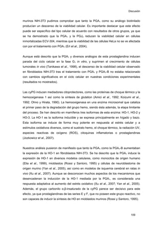 Discusión
murinos NIH-3T3 pudimos comprobar que tanto la PGA1 como su análogo biotinilado
producían un descenso de la viabilidad celular. Es importante destacar que este efecto
puede ser específico del tipo celular de acuerdo con resultados de otros grupos, ya que
se ha demostrado que la PGA1 y la PGJ2 reducen la viabilidad celular en células
inmortalizadas ECV-304, mientras que la viabilidad de las células HeLa no se ve afectada
con por el tratamiento con PGA1 (Erl et al., 2004).
Aunque está descrito que la PGA1 y diversos análogos de esta prostaglandina inducen
parada del ciclo celular en la fase G1 in vitro, y suprimen el crecimiento de células
tumorales in vivo (Tanikawa et al., 1998), el descenso de la viabilidad celular observado
en fibroblastos NIH-3T3 tras el tratamiento con PGA1 y PGA1-B no estaba relacionado
con cambios significativos en el ciclo celular en nuestras condiciones experimentales
(resultados no mostrados).
Las cyPG inducen mediadores citoprotectores, como las proteínas de choque térmico y la
hemooxigenasa 1 así como la síntesis de glutation (Amici et al., 1992; Koizumi et al.,
1992; Ohno y Hirata, 1990). La hemooxigenasa en una enzima microsomal que cataliza
el primer paso de la degradación del grupo hemo, siendo ésta además, la etapa limitante
del proceso. Se han descrito en mamíferos tres isoformas de esta enzima: HO-1, HO-2 y
HO-3. La HO-1 es la isoforma inducible y se expresa principalmente en hígado y bazo.
Esta isoforma se induce de forma muy potente en respuesta al estrés celular y a
estímulos oxidativos diversos, como el sustrato hemo, el choque térmico, la radiación UV,
especies reactivas de oxígeno (ROS), citoquinas inflamatorias o prostaglandinas
(Jozkowicz et al., 2007).
Nuestros análisis pusieron de manifiesto que tanto la PGA1 como la PGA1-B aumentaban
la expresión de la HO-1 en fibroblastos NIH-3T3. Se ha descrito que la PGA1 induce la
expresión de HO-1 en diversos modelos celulares, como monocitos de origen humano
(Elia et al., 1999), mioblastos (Rossi y Santoro, 1995) y células de neuroblastoma de
origen murino (Yan et al., 2005), así como en modelos de isquemia cerebral en ratas in
vivo (Xu et al., 2007). Aunque se desconocen muchos aspectos de los mecanismos que
desencadenan la inducción de la HO-1 mediada por la PGA1, es considerada una
respuesta adaptativa al aumento del estrés oxidativo (Xu et al., 2007; Yan et al., 2005).
Además, el grupo carbonilo α,β-insaturado de la cyPG parece ser decisivo para este
efecto, ya que prostaglandinas de las series E y F, que no poseen este grupo reactivo, no
son capaces de inducir la síntesis de HO en mioblastos murinos (Rossi y Santoro, 1995).
109
 