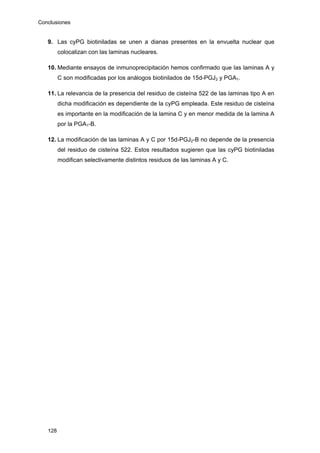 Conclusiones
128
9. Las cyPG biotiniladas se unen a dianas presentes en la envuelta nuclear que
colocalizan con las laminas nucleares.
10. Mediante ensayos de inmunoprecipitación hemos confirmado que las laminas A y
C son modificadas por los análogos biotinilados de 15d-PGJ2 y PGA1.
11. La relevancia de la presencia del residuo de cisteína 522 de las laminas tipo A en
dicha modificación es dependiente de la cyPG empleada. Este residuo de cisteína
es importante en la modificación de la lamina C y en menor medida de la lamina A
por la PGA1-B.
12. La modificación de las laminas A y C por 15d-PGJ2-B no depende de la presencia
del residuo de cisteína 522. Estos resultados sugieren que las cyPG biotiniladas
modifican selectivamente distintos residuos de las laminas A y C.
 