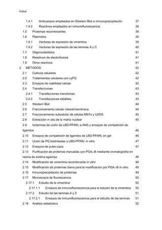 Índice
1.4.1 Anticuerpos empleados en Western Blot e inmunoprecipitación 37
1.4.2 Reactivos empleados en inmunofluorescencia 38
1.5 Proteínas recombinantes 39
1.6 Plásmidos 39
1.6.1 Vectores de expresión de vimentina 39
1.6.2 Vectores de expresión de las laminas A y C 40
1.7 Oligonucleótidos 41
1.8 Reactivos de electroforesis 41
1.9 Otros reactivos 41
2. MÉTODOS 42
2.1 Cultivos celulares 42
2.2 Tratamientos celulares con cyPG 42
2.3 Ensayos de viabilidad celular 42
2.4 Transfecciones 43
2.4.1 Transfecciones transitorias 43
2.4.2 Transfecciones estables 43
2.5 Western Blot 44
2.6 Fraccionamiento celular citosol/membrana 44
2.7 Fraccionamiento subcelular de células MEFs y U2OS 45
2.8 Extracción in situ de la matriz nuclear 45
2.9 Isotermas de unión de LBD-PPARγ a ANS y ensayos de competición de
ligandos 46
2.10 Ensayos de competición de ligandos de LBD-PPARγ en gel 46
2.11 Unión de PG biotiniladas a LBD-PPARγ in vitro 47
2.12 Ensayos de pulso-caza 47
2.13 Purificación de proteínas marcadas con PGA1-B mediante cromatografía en
resina de avidina-agarosa 48
2.14 Modificación de vimentina recombinante in vitro 48
2.15 Modificación de proteínas diana para la modificación por PGA1-B in vitro 49
2.16 Inmunoprecipitación de proteínas 49
2.17 Microscopía de fluorescencia 50
2.17.1 Estudio de la vimentina 50
2.17.1.1 Ensayos de inmunofluorescencia para el estudio de la vimentina 50
2.17.2 Estudio de las laminas A y C 51
2.17.2.1 Ensayos de inmunofluorescencia para el estudio de las laminas 51
2.18 Análisis estadístico 52
 