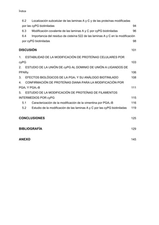 Índice
6.2 Localización subcelular de las laminas A y C y de las proteínas modificadas
por las cyPG biotiniladas 94
6.3 Modificación covalente de las laminas A y C por cyPG biotiniladas 96
6.4 Importancia del residuo de cisteína 522 de las laminas A y C en la modificación
por cyPG biotiniladas 98
DISCUSIÓN 101
1. ESTABILIDAD DE LA MODIFICACIÓN DE PROTEÍNAS CELULARES POR
cyPG 103
2. ESTUDIO DE LA UNIÓN DE cyPG AL DOMINIO DE UNIÓN A LIGANDOS DE
PPARγ 106
3. EFECTOS BIOLÓGICOS DE LA PGA1 Y SU ANÁLOGO BIOTINILADO 108
4. CONFIRMACIÓN DE PROTEÍNAS DIANA PARA LA MODIFICACIÓN POR
PGA1 Y PGA1-B 111
5. ESTUDIO DE LA MODIFICACIÓN DE PROTEÍNAS DE FILAMENTOS
INTERMEDIOS POR cyPG 115
5.1 Caracterización de la modificación de la vimentina por PGA1-B 116
5.2 Estudio de la modificación de las laminas A y C por las cyPG biotiniladas 119
CONCLUSIONES 125
BIBLIOGRAFÍA 129
ANEXO 145
 