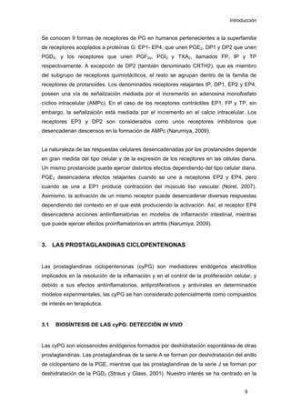 Introducción
Se conocen 9 formas de receptores de PG en humanos pertenecientes a la superfamilia
de receptores acoplados a proteínas G: EP1- EP4, que unen PGE2, DP1 y DP2 que unen
PGD2, y los receptores que unen PGF2α, PGI2 y TXA2, llamados FP, IP y TP
respectivamente. A excepción de DP2 (también denominado CRTH2), que es miembro
del subgrupo de receptores quimiotácticos, el resto se agrupan dentro de la familia de
receptores de protanoides. Los denominados receptores relajantes IP, DP1, EP2 y EP4,
poseen una vía de señalización mediada por el incremento en adenosina monofosfato
cíclico intracelular (AMPc). En el caso de los receptores contráctiles EP1, FP y TP, sin
embargo, la señalización está mediada por el incremento en el calcio intracelular. Los
receptores EP3 y DP2 son considerados como unos receptores inhibitorios que
desencadenan descensos en la formación de AMPc (Narumiya, 2009).
La naturaleza de las respuestas celulares desencadenadas por los prostanoides depende
en gran medida del tipo celular y de la expresión de los receptores en las células diana.
Un mismo prostanoide puede ejercer distintos efectos dependiendo del tipo celular diana.
PGE2 desencadena efectos relajantes cuando se une a receptores EP2 y EP4, pero
cuando se une a EP1 produce contracción del músculo liso vascular (Norel, 2007).
Asimismo, la activación de un mismo receptor puede desencadenar diversas respuestas
dependiendo del contexto en el que esté produciendo la activación. Así, el receptor EP4
desencadena acciones antiinflamatorias en modelos de inflamación intestinal, mientras
que puede ejercer efectos proinflamatorios en artritis (Narumiya, 2009).
3. LAS PROSTAGLANDINAS CICLOPENTENONAS
Las prostaglandinas ciclopentenonas (cyPG) son mediadores endógenos electrófilos
implicados en la resolución de la inflamación y en el control de la proliferación celular, y
debido a sus efectos antiinflamatorios, antiproliferativos y antivirales en determinados
modelos experimentales, las cyPG se han considerado potencialmente como compuestos
de interés en terapéutica.
3.1 BIOSÍNTESIS DE LAS cyPG: DETECCIÓN IN VIVO
Las cyPG son eicosanoides endógenos formados por deshidratación espontánea de otras
prostaglandinas. Las prostaglandinas de la serie A se forman por deshidratación del anillo
de ciclopentano de la PGE, mientras que las prostaglandinas de la serie J se forman por
deshidratación de la PGD2 (Straus y Glass, 2001). Nuestro interés se ha centrado en la
9
 