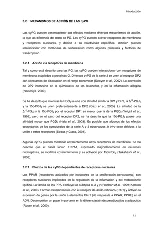Introducción
3.2 MECANISMOS DE ACCIÓN DE LAS cyPG
Las cyPG pueden desencadenar sus efectos mediante diversos mecanismos de acción,
lo que las diferencia del resto de PG. Las cyPG pueden activar receptores de membrana
y receptores nucleares, y debido a su reactividad específica, también pueden
interaccionar con moléculas de señalización como algunas proteínas y factores de
transcripción.
3.2.1 Acción vía receptores de membrana
Tal y como está descrito para las PG, las cyPG pueden interaccionar con receptores de
membrana acoplados a proteínas G. Diversas cyPG de la serie J se unen al receptor DP2
con constantes de disociación en el rango nanomolar (Sawyer et al., 2002). La activación
de DP2 interviene en la quimiotaxis de los leucocitos y en la inflamación alérgica
(Narumiya, 2009).
Se ha descrito que mientras la PGD2 se une con afinidad similar a DP1 y DP2, la ∆12
-PGJ2
y la 15d-PGJ2 se unen preferentemente a DP2 (Gazi et al., 2005). La afinidad de la
∆12
-PGJ2 y la 15d-PGJ2 por el receptor DP1 es menor que la de la PGD2 (Wright et al.,
1998), pero en el caso del receptor DP2, se ha descrito que la 15d-PGJ2 posee una
afinidad mayor que PGD2 (Hata et al., 2003). Es posible que algunos de los efectos
secundarios de los compuestos de la serie A y J observados in vivo sean debidos a la
unión a estos receptores (Straus y Glass, 2001).
Algunas cyPG pueden modificar covalentemente otros receptores de membrana. Se ha
descrito que el canal iónico TRPA1, expresado mayoritariamente en neuronas
nociceptivas, se modifica covalentemente y es activado por 15d-PGJ2 (Takahashi et al.,
2008).
3.2.2 Efectos de las cyPG dependientes de receptores nucleares
Los PPAR (receptores activados por inductores de la proliferación peroxisomal) son
receptores nucleares implicados en la regulación de la inflamación y del metabolismo
lipídico. La familia de los PPAR incluye los subtipos α, δ y γ (Fruchart et al., 1999; Kersten
et al., 2000). Forman heterodímeros con el receptor de ácido retinoico (RXR) y activan la
expresión de genes por la unión a elementos DR‐1 (de respuesta a PPAR, PPRE) en el
ADN. Desempeñan un papel importante en la diferenciación de preadipocitos a adipocitos
(Rosen et al., 2000).
11
 