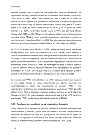 Introducción
Diversos fármacos como la troglitazona y la rosiglitazona, fármacos antidiabéticos, son
agonistas de PPARγ y han sido utilizados en el tratamiento de la diabetes (Ricote et al.,
1999; Rocchi y Auwerx, 1999). Estos fármacos se unen a PPARγ en un bolsillo del
dominio de unión a ligandos (LBD) mediante la formación de enlaces de hidrógeno entre
el anillo de su estructura y los residuos de histidina en posición 323 y 449 de la proteína
(Nolte et al., 1998). En 1995 se descubrió que la 15d‐PGJ2 era un ligando de PPARγ
(Forman et al., 1997), y la ∆12
‐PGJ2 también se une a PPARγ pero con menor afinidad
(Kliewer et al., 1995). La 15d-PGJ2 y otros derivados de ácidos grasos endógenos actúan
como ligandos de PPARγ y forman un aducto covalente con una cisteína presente en el
dominio de unión a ligandos del factor, la C285. Esta interacción es importante para que
el receptor adopte su conformación activa (Shiraki et al., 2005; Waku et al., 2009a).
La 15d‐PGJ2 también activa PPARα y PPARδ, aunque de forma menos potente que
PPARγ (Forman et al., 1997). Se ha descrito que la PGA1 y PGA2 activan PPARα y δ,
aunque son necesarias concentraciones altas para desencadenar esta respuesta (Yu et
al., 1995). La unión de los ligandos a PPARγ conlleva la activación de la transcripción de
genes que contienen elementos DR-1 en su promotor, implicados en muchos casos en el
metabolismo lipídico (Rosen et al., 2000). En macrófagos activados, la unión de 15d-PGJ2
y ligandos sintéticos a PPARγ induce una inhibición de las actividades de los factores de
transcripción AP-1, STAT y NF-κB que conlleva una represión de la expresión génica de
la iNOS (óxido nítrico sintasa inducible) o de la gelatinasa B (Ricote et al., 1998).
La implicación de PPARγ en los efectos de las cyPG y otros agonistas ha sido estudiada
en una amplia variedad de células, observándose que algunas respuestas eran
desencadenadas en células que aparentemente no expresan PPARγ, y más
recientemente, también han sido empleadas técnicas de supresión de PPARγ por ARNi
(Ghosh et al., 2009) y abordajes empleando análogos químicos de cyPG (Sanchez-
Gomez et al., 2004). En estos trabajos se ha demostrado que tanto las cyPG como otros
agonistas de PPARγ pueden ejercer efectos independientes de PPARγ.
3.2.3 Regulación de expresión de genes independiente de receptor
Varios miembros de la familia de las cyPG han demostrado actividades antiproliferativas,
antiinflamatorias y antivirales, que en parte son debidas a acciones independientes de
receptores. Al contrario que otras PG, gran parte de las acciones de las cyPG son
debidas a la capacidad de interaccionar con dianas celulares específicas, incluyendo
moléculas de señalización y factores de transcripción (Straus y Glass, 2001).
12
 
