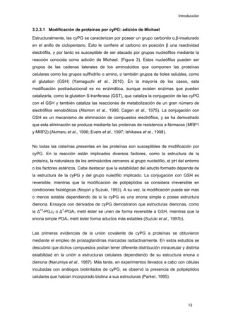Introducción
3.2.3.1 Modificación de proteínas por cyPG: adición de Michael
Estructuralmente, las cyPG se caracterizan por poseer un grupo carbonilo α,β-insaturado
en el anillo de ciclopentano. Esto le confiere al carbono en posición β una reactividad
electrófila, y por tanto es susceptible de ser atacado por grupos nucleófilos mediante la
reacción conocida como adición de Michael. (Figura 3). Estos nucleófilos pueden ser
grupos de las cadenas laterales de los aminoácidos que componen las proteínas
celulares como los grupos sulfhidrilo o amino, o también grupos de tioles solubles, como
el glutation (GSH) (Yamaguchi et al., 2010). En la mayoría de los casos, esta
modificación postraduccional es no enzimática, aunque existen enzimas que pueden
catalizarla, como la glutation S-tranferasa (GST), que cataliza la conjugación de las cyPG
con el GSH y también cataliza las reacciones de metabolización de un gran número de
electrófilos xenobióticos (Atsmon et al., 1990; Cagen et al., 1975). La conjugación con
GSH es un mecanismo de eliminación de compuestos electrófilos, y se ha demostrado
que esta eliminación se produce mediante las proteínas de resistencia a fármacos (MRP1
y MRP2) (Akimaru et al., 1996; Evers et al., 1997; Ishikawa et al., 1998).
No todas las cisteínas presentes en las proteínas son susceptibles de modificación por
cyPG. En la reacción están implicados diversos factores, como la estructura de la
proteína, la naturaleza de los aminoácidos cercanos al grupo nucleófilo, el pH del entorno
o los factores estéricos. Cabe destacar que la estabilidad del aducto formado depende de
la estructura de la cyPG y del grupo nuleófilo implicado. La conjugación con GSH es
reversible, mientras que la modificación de polipéptidos se considera irreversible en
condiciones fisiológicas (Noyori y Suzuki, 1993). A su vez, la modificación puede ser más
o menos estable dependiendo de si la cyPG es una enona simple o posee estructura
dienona. Ensayos con derivados de cyPG demostraron que estructuras dienonas, como
la ∆12
-PGJ2 o ∆7
-PGA1 metil éster se unen de forma reversible a GSH, mientras que la
enona simple PGA1 metil éster forma aductos más estables (Suzuki et al., 1997b).
Las primeras evidencias de la unión covalente de cyPG a proteínas se obtuvieron
mediante el empleo de prostaglandinas marcadas radiactivamente. En estos estudios se
descubrió que dichos compuestos podían tener diferente distribución intracelular y distinta
estabilidad en la unión a estructuras celulares dependiendo de su estructura enona o
dienona (Narumiya et al., 1987). Más tarde, en experimentos llevados a cabo con células
incubadas con análogos biotinilados de cyPG, se observó la presencia de polipéptidos
celulares que habían incorporado biotina a sus estructuras (Parker, 1995).
13
 