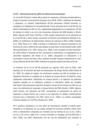 Introducción
3.2.3.2 Interacciones de las cyPG con factores de transcripción
La vía de NF-κB (factor nuclear-κB) se activa en respuesta a estímulos proinflamatorios y
media la inducción transcripcional de genes como iNOS, COX-2, moléculas de adhesión
y citoquinas. La proteína heterodimérica NF-κB permanece inhibida formando un
complejo en el citoplasma con las proteínas IκB. Tras la activación de la vía de NF-κB, las
IκB son fosforiladas por IKK (α y β) y rápidamente degradadas por el proteasoma. NF-κB
se trasloca al núcleo y se une a las secuencias consenso del ADN (Hayden y Ghosh,
2004). Algunas cyPG como 15d-PGJ2 y PGA1 pueden interaccionar con la activación de
la vía de NF-κB a varios niveles, incluyendo la inhibición del proteasoma (Shibata et al.,
2003b), la modificación de determinados residuos de cisteínas en IKKα y IKKβ, (Castrillo
et al., 2000; Rossi et al., 2000) y también la modificación de cisteínas presentes en los
dominios de unión a ADN de las subunidades de este factor de transcripción (p50 y p65)
(Cernuda-Morollon et al., 2001; Straus et al., 2000). Como resultado de esta interacción,
las cyPG inhiben la actividad de IKK, previniendo la fosforilación y la degradación de la
subunidad reguladora IκB (Rossi et al., 2000), bloqueando la traslocación o la
acumulación nuclear del factor activo, además de poder bloquear directamente la unión
de las proteínas de NF-κB al ADN, inhibiendo la expresión génica derivada de NF-κB.
La inhibición de la vía de NF-κB producida por algunas cyPG como la PGA1, está
asociada con la inducción del factor de transcripción de choque térmico (HSF) (Rossi et
al., 1997). En células en reposo, los monómeros inactivos de HSF se localizan en el
citoplasma formando un complejo con la proteína de choque térmico 70 (Hsp70) y otras
chaperonas moleculares. Situaciones de choque térmico o la aparición de proteínas
celulares dañadas en el citoplasma, producen la disociación rápida del complejo
HSF-Hsp70. Esta disociación permite la entrada al núcleo de los trímeros de HSF que se
unen a los elementos de respuesta a choque térmico del DNA (Santoro, 2000). Algunas
cyPG inducen una activación del HSF, aumentando la transcripción de genes de
respuesta a choque térmico tal y como se ha observado en células eritroleucémicas
humanas tras el tratamiento con PGA1 (Amici et al., 1992) o en células mesangiales
humanas tratadas con 15d-PGJ2 (Zhang et al., 2004).
AP-1 (proteína activadora-1) es otro factor de transcripción sensible al estado redox,
implicado en la regulación de una amplia variedad de funciones celulares. Existe como
homo o heterodímero compuesto por miembros de las familias de Jun (c-Jun, JunB y
Jun D) y Fos (c-Fos, FosB, Fra-1 y Fra-2), formando un complejo Jun-Fos-ADN (Kim y
Surh, 2006). Las cyPG interaccionan con las vías de señalización que controlan la
15
 