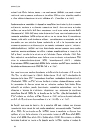 Introducción
activación de AP-1 a distintos niveles, como es el caso de 15d-PGJ2, que puede unirse al
residuo de cisteína presente en el dominio de unión a ADN de c-Jun, y también modifica
a c-Fos, inhibiendo la actividad de unión a ADN de AP-1 (Perez-Sala et al., 2003).
Recientemente se ha establecido el papel de las cyPG en la estimulación de la respuesta
antioxidante, mediante la modificación covalente de Keap1 y la consecuente activación
del factor de transcripción Nrf2 (factor relacionado con el factor nuclear eritroide 2p45)
(Kansanen et al., 2009). Nrf2 es un factor de transcripción que reconoce los elementos de
respuesta antioxidante (ARE) en los promotores de los genes diana. En condiciones
basales, está unido en el citoplasma a Keap1, que actúa como un adaptador para la
interacción con una ubiquitina ligasa conduciendo a Nrf2 a la degradación por el
proteasoma. Activadores endógenos como las especies reactivas de oxigeno y nitrógeno,
aldehídos lipídicos o 15d-PGJ2, así como determinados agentes exógenos como metales
pesados y agentes xenobióticos electrófilos, producen una alteración de la interacción de
Nrf2 y Keap1, permitiendo la entrada de Nrf-2 al núcleo (Osburn y Kensler, 2008). Este
factor estimula la transcripción de genes de las enzimas implicadas en la síntesis de GSH
como la γ-glutamil-cisteína-sintasa (GCS), hemooxigenasa-1 (HO-1) y glutation
S-transferasas (GST) (Nguyen et al., 2009). Se ha postulado que Nrf2 es un mediador de
los efectos anitiinflamatorios de 15d-PGJ2 (Itoh et al., 2004).
Los mecanismos que explican la actividad antiinflamatoria de diversas cyPG, como la
15d-PGJ2, no sólo incluyen la inhibición de las vías de NF-κB y AP-1, sino también la
inhibición de la vía de STAT (transductores de señales y activadores de la transcripción)
(Ricote et al., 1998). Las STAT son una familia de proteínas citoplasmáticas que regulan
la transcripción de diversos genes tras ser activadas mediante fosforilación. Dicha
activación se produce cuando determinados polipéptidos extracelulares, como las
citoquinas o factores de crecimiento, interaccionan con receptores de membrana
específicos (Darnell, 1997). Se ha descrito que la 15d-PGJ2 inhibe la fosforilación de
STAT mediada por interferón γ (IFNγ) (Chen et al., 2003), así como la desencadenada
por IL-6 e IL-10 en diversos tipos celulares (Ji et al., 2005; Kim et al., 2005).
La función supresora de tumores de la proteína p53 está mediada por diversos
mecanismos, como parada del ciclo celular, apoptosis y senescencia celular (Vogelstein
et al., 2000). Se ha descrito que la 15d-PGJ2 induce la apoptosis en diversos tipos
celulares a través de la activación o la acumulación nuclear de p53 (Dong et al., 2004;
Kondo et al., 2002; Shan et al., 2004; Shibata et al., 2003b). Sin embargo, en células
tumorales de cáncer de mama se ha descrito que la 15d-PGJ2 modifica el residuo de
16
 
