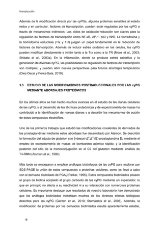 Introducción
Además de la modificación directa por las cyPGs, algunas proteínas sensibles al estado
redox y en particular, factores de transcripción, pueden estar reguladas por las cyPG a
través de mecanismos indirectos. Los ciclos de oxidación-reducción son claves para la
regulación de factores de transcripción como NF-κB, AP-1, p53 y Nrf2. La tiorredoxina y
la tiorredoxina reductasa (Trx y TR) juegan un papel fundamental en la reducción de
factores de transcripción. Además de inducir estrés oxidativo en las células, las cyPG
pueden modificar directamente e inhibir tanto a la Trx como a la TR (Moos et al., 2003;
Shibata et al., 2003a). En la inflamación, donde se produce estrés oxidativo y la
generación de diversas cyPG, las posibilidades de regulación de factores de transcripción
son múltiples, y pueden abrir nuevas perspectivas para futuros abordajes terapéuticos
(Diez-Dacal y Perez-Sala, 2010).
3.3 ESTUDIO DE LAS MODIFICACIONES POSTRADUCCIONALES POR LAS cyPG
MEDIANTE ABORDAJES PROTEÓMICOS
En los últimos años se han hecho muchos avances en el estudio de las dianas celulares
de las cyPG, y el desarrollo de las técnicas proteómicas y de espectrometría de masas ha
contribuido a la identificación de nuevas dianas y a describir los mecanismos de acción
de estos compuestos electrófilos.
Uno de los primeros trabajos que estudió las modificaciones covalentes de derivados de
las prostaglandinas mediante estos abordajes fue desarrollado por Atsmon. Se describió
la formación del aducto de glutation con 9-desoxi-∆9
,∆12
(E)-prostaglandina D2 mediante el
empleo de espectrometría de masas de bombardeo atómico rápido, y la identificación
posterior del sitio de la monoconjugación en el C9 del glutation mediante análisis de
1
H-RMN (Atsmon et al., 1990).
Más tarde se empezaron a emplear análogos biotinilados de las cyPG para explorar por
SDS-PAGE la unión de estos compuestos a proteínas celulares, como se llevó a cabo
con el derivado biotinilado de PGA2 (Parker, 1995). Estos compuestos biotinilados poseen
el grupo de biotina acoplado al grupo carboxilo de las cyPG mediante un espaciador, lo
que en principio no afecta a su reactividad ni a su interacción con numerosas proteínas
celulares. Es importante destacar que resultados de nuestro laboratorio han demostrado
que los análogos biotinilados mimetizan muchos de los diversos efectos biológicos
descritos para las cyPG (Garzon et al., 2010; Stamatakis et al., 2006). Además, la
modificación de proteínas por los derivados biotinilados resulta aparentemente estable,
18
 