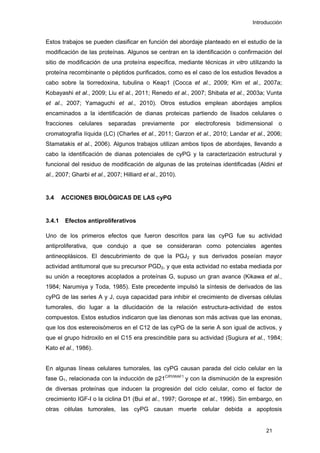 Introducción
Estos trabajos se pueden clasificar en función del abordaje planteado en el estudio de la
modificación de las proteínas. Algunos se centran en la identificación o confirmación del
sitio de modificación de una proteína específica, mediante técnicas in vitro utilizando la
proteína recombinante o péptidos purificados, como es el caso de los estudios llevados a
cabo sobre la tiorredoxina, tubulina o Keap1 (Cocca et al., 2009; Kim et al., 2007a;
Kobayashi et al., 2009; Liu et al., 2011; Renedo et al., 2007; Shibata et al., 2003a; Vunta
et al., 2007; Yamaguchi et al., 2010). Otros estudios emplean abordajes amplios
encaminados a la identificación de dianas proteicas partiendo de lisados celulares o
fracciones celulares separadas previamente por electroforesis bidimensional o
cromatografía líquida (LC) (Charles et al., 2011; Garzon et al., 2010; Landar et al., 2006;
Stamatakis et al., 2006). Algunos trabajos utilizan ambos tipos de abordajes, llevando a
cabo la identificación de dianas potenciales de cyPG y la caracterización estructural y
funcional del residuo de modificación de algunas de las proteínas identificadas (Aldini et
al., 2007; Gharbi et al., 2007; Hilliard et al., 2010).
3.4 ACCIONES BIOLÓGICAS DE LAS cyPG
3.4.1 Efectos antiproliferativos
Uno de los primeros efectos que fueron descritos para las cyPG fue su actividad
antiproliferativa, que condujo a que se consideraran como potenciales agentes
antineoplásicos. El descubrimiento de que la PGJ2 y sus derivados poseían mayor
actividad antitumoral que su precursor PGD2, y que esta actividad no estaba mediada por
su unión a receptores acoplados a proteínas G, supuso un gran avance (Kikawa et al.,
1984; Narumiya y Toda, 1985). Este precedente impulsó la síntesis de derivados de las
cyPG de las series A y J, cuya capacidad para inhibir el crecimiento de diversas células
tumorales, dio lugar a la dilucidación de la relación estructura-actividad de estos
compuestos. Estos estudios indicaron que las dienonas son más activas que las enonas,
que los dos estereoisómeros en el C12 de las cyPG de la serie A son igual de activos, y
que el grupo hidroxilo en el C15 era prescindible para su actividad (Sugiura et al., 1984;
Kato et al., 1986).
En algunas líneas celulares tumorales, las cyPG causan parada del ciclo celular en la
fase G1, relacionada con la inducción de p21CIPI/WAF1
y con la disminución de la expresión
de diversas proteínas que inducen la progresión del ciclo celular, como el factor de
crecimiento IGF-I o la ciclina D1 (Bui et al., 1997; Gorospe et al., 1996). Sin embargo, en
otras células tumorales, las cyPG causan muerte celular debida a apoptosis
21
 