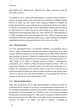 Introducción
(Bishop-Bailey y Hla, 1999; Ikai et al., 1998; Kim et al., 1996), o asociada a parada del
ciclo celular en fase S.
El tratamiento con las cyPG puede desencadenar la apoptosis celular mediante la
inducción de estrés oxidativo tanto mitocondrial como derivado de la NADPH oxidasa
(Shin et al., 2009). Las cyPG pueden inducir apoptosis mediante la modulación de
factores de transcripción, como la inhibición de la actividad de NF-κB (Piva et al., 2005) o
la activación o acumulación nuclear de p53 en determinados modelos celulares (Dong et
al., 2004; Kondo et al., 2002; Shan et al., 2004; Shibata et al., 2003b). Además, la
desorganización del citoesqueleto (Aldini et al., 2007; Gayarre et al., 2006; Stamatakis et
al., 2006), la inhibición de la síntesis de proteínas (Kim et al., 2007b) o la regulación de la
transcriptasa reversa de la telomerasa pueden jugar un papel importante en la actividad
antiproliferativa de estos compuestos (Aldini et al., 2007; Moriai et al., 2009).
3.4.2 Efectos antivirales
Las cyPG, especialmente PGA1 y sus derivados, interfieren en la replicación vírica a
muchos niveles y desencadenan la síntesis de proteínas citoprotectoras en la célula
huésped. Inhiben la replicación de una gran variedad de virus ARN y ADN en diferentes
tipos de células de mamífero. También se ha podido probar la actividad de derivados de
cyPG in vivo en ratones infectados con el virus de la gripe A y del herpes (Santoro et al.,
1988; Tanaka et al., 1986). La actividad antiviral se detecta a concentraciones
micromolares, que no inhiben la síntesis de proteínas celulares (Santoro, 1994). Los
mecanismos implicados en la actividad antiviral de las cyPG están relacionados con la
inhibición de la glicosilación de las proteínas víricas así como con la inducción de los
niveles de expresión de Hsp70, que inhibe la síntesis de proteínas virales durante la fase
inicial de la infección. Las cyPG también interfieren en la transcripción del ARN viral,
mediante la inhibición de la vía de NF-κB (Santoro, 1997).
3.4.3 Efectos antiinflamatorios
Desde que se descubriera que las cyPG desencadenaban la inhibición del factor de
transcripción NF-κB, implicado en la inducción de numerosos genes proinflamatorios, se
ha investigado en profundidad la actividad de las cyPG en modelos celulares y animales
de inflamación. Se ha demostrado que la 15d-PGJ2 inhibe la producción de citoquinas
inflamatorias de monocitos (Jiang et al., 1998), reduce la expresión de iNOS en diversos
tipos celulares (Heneka et al., 1999; Petrova et al., 1999), inhibe la inducción mediada por
citoquinas de COX-2 y de ICAM-1, así como la expresión y actividad de
22
 