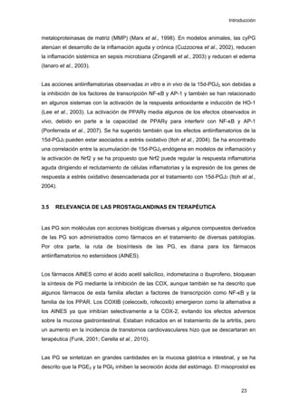 Introducción
metaloproteinasas de matriz (MMP) (Marx et al., 1998). En modelos animales, las cyPG
atenúan el desarrollo de la inflamación aguda y crónica (Cuzzocrea et al., 2002), reducen
la inflamación sistémica en sepsis microbiana (Zingarelli et al., 2003) y reducen el edema
(Ianaro et al., 2003).
Las acciones antiinflamatorias observadas in vitro e in vivo de la 15d-PGJ2 son debidas a
la inhibición de los factores de transcripción NF-κB y AP-1 y también se han relacionado
en algunos sistemas con la activación de la respuesta antioxidante e inducción de HO-1
(Lee et al., 2003). La activación de PPARγ media algunos de los efectos observados in
vivo, debido en parte a la capacidad de PPARγ para interferir con NF-κB y AP-1
(Ponferrada et al., 2007). Se ha sugerido también que los efectos antiinflamatorios de la
15d-PGJ2 pueden estar asociados a estrés oxidativo (Itoh et al., 2004). Se ha encontrado
una correlación entre la acumulación de 15d-PGJ2 endógena en modelos de inflamación y
la activación de Nrf2 y se ha propuesto que Nrf2 puede regular la respuesta inflamatoria
aguda dirigiendo el reclutamiento de células inflamatorias y la expresión de los genes de
respuesta a estrés oxidativo desencadenada por el tratamiento con 15d-PGJ2 (Itoh et al.,
2004).
3.5 RELEVANCIA DE LAS PROSTAGLANDINAS EN TERAPÉUTICA
Las PG son moléculas con acciones biológicas diversas y algunos compuestos derivados
de las PG son administrados como fármacos en el tratamiento de diversas patologías.
Por otra parte, la ruta de biosíntesis de las PG, es diana para los fármacos
antiinflamatorios no esteroideos (AINES).
Los fármacos AINES como el ácido acetil salicílico, indometacina o ibuprofeno, bloquean
la síntesis de PG mediante la inhibición de las COX, aunque también se ha descrito que
algunos fármacos de esta familia afectan a factores de transcripción como NF-κB y la
familia de los PPAR. Los COXIB (celecoxib, rofecoxib) emergieron como la alternativa a
los AINES ya que inhibían selectivamente a la COX-2, evitando los efectos adversos
sobre la mucosa gastrointestinal. Estaban indicados en el tratamiento de la artritis, pero
un aumento en la incidencia de transtornos cardiovasculares hizo que se descartaran en
terapéutica (Funk, 2001; Cerella et al., 2010).
Las PG se sintetizan en grandes cantidades en la mucosa gástrica e intestinal, y se ha
descrito que la PGE2 y la PGI2 inhiben la secreción ácida del estómago. El misoprostol es
23
 