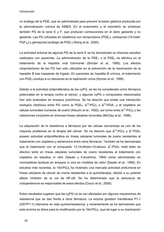 Introducción
un análogo de la PGE1 que es administrado para prevenir la lesión gástrica producida por
la administración crónica de AINES. En el endometrio y el miometrio se sintetizan
también PG de la serie E y F, que producen contracciones en el útero gestante y no
gestante. Las PG utilizadas en obstetricia son dinoprostona (PGE2), carboprost (15-metil-
PGF2α) y gemeprost (análogo de PGE1) (Rang et al., 2000).
La actividad antiviral de algunas PG de la serie E se ha demostrado en diversos estudios
realizados con pacientes. La administración de la PGE1 o la PGE2 es efectiva en el
tratamiento de la hepatitis viral fulminante (Sinclair et al., 1989). Los efectos
citoprotectores de las PG han sido utilizados en la prevención de la reactivación de la
hepatitis B tras trasplante de hígado. En pacientes de hepatitis B crónica, el tratamiento
con PGE2 condujo a un descenso en la replicación vírica (Hyman et al., 1999).
Debido a la actividad antiproliferativa de las cyPG, se las ha considerado como fármacos
potenciales en la terapia contra el cáncer, y algunas cyPG o compuestos relacionados
han sido evaluados en ensayos preclínicos. Se ha descrito que existe una interacción
sinérgica citotóxica entre PG como la PGD2, ∆12
-PGJ2 o ∆12
-PGA1 y el cisplatino en
células tumorales humanas de ovario (Kikuchi et al., 1992), así como entre ∆12
-PGJ2 y las
radiaciones ionizantes en diversas líneas celulares tumorales (McClay et al., 1996).
La adquisición de la resistencia a fármacos por las células cancerosas es uno de los
mayores problemas en la terapia del cáncer. Se ha descrito que ∆12
-PGJ2 y ∆7
-PGA1
poseen actividad antiproliferativa en líneas celulares tumorales de ovario resistentes al
tratamiento con cisplatino y adriamicina entre otros fármacos. También se ha demostrado
que el tratamiento con el compuesto 13,14-dihidro-15-desoxi- ∆7
-PGA1 metil éster es
efectivo tanto en líneas celulares tumorales de ovario resistentes al tratamiento con
cisplatino en estudios in vitro (Sasaki y Fukushima, 1994) como administrado en
microesferas lipídicas en ensayos in vivo en modelos de ratón (Sasaki et al., 1999). En
estudios más recientes, la 15d-PGJ2 ha mostrado una marcada actividad antitumoral en
líneas célulares de cáncer de mama resistentes a la quimioterapia, debido a su potente
efecto inhibidor de la vía de NF-κB. Se ha determinado que la estructura de
ciclopentenona es responsable de estos efectos (Ciucci et al., 2006).
Estos resultados sugieren que las cyPG no se ven afectadas por algunos mecanismos de
resistencia que se dan frente a otros fármacos. La enzima glutation transferasa P1-1
(GSTP1-1) interviene en esta quimiorresistencia, y recientemente se ha demostrado que
esta enzima es diana para la modificación por la 15d-PGJ2, que da lugar a su inactivación
24
 