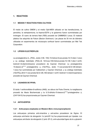 Materiales y métodos
1. REACTIVOS
1.1 MEDIOS Y REACTIVOS PARA CULTIVOS
El medio de cultivo DMEM y el medio Opti-MEM utilizado en las transfecciones, la
penicilina, la estreptomicina, la tripsina-EDTA y la glutamina fueron suministradas por
Invitrogen. El suero de ternera fetal (FBS) procedió de CAMBREX/ Lonza. El material
plástico fue adquirido de Falcon (Becton Dickinson). Las placas de 35 mm de diámetro
utilizadas en experimentos de micoscopía confocal fueron suministradas por Mat Tek
Corporation.
1.2 LÍPIDOS ELECTRÓFILOS
La prostaglandina A1, (PGA1, ácido (13E, 15S) 15-hidroxi-9-oxo-prosta-10,13-dien-1-oico)
y su análogo biotinilado (PGA1-B, N-9-oxo-15S-hidroxi-prosta-10,13E-1-dien-1-oil-N-
biotinoil-1,6-diaminohexano) procedieron de Cayman Chemical. La prostaglandina
15-desoxi–∆12,14
prostaglandina J2 (15d-PGJ2, ácido 11-oxo-prosta-5Z,9,12E-tetraen-
1-oico) fue suministrada por Calbiochem y Cayman Chemical, y su análogo biotinilado
(15d-PGJ2-B,N-11-oxo-prosta-5Z,9,12E,14E-tetraen-1-oil-N´-biotinoil-1,5-diaminopentano)
procedió de Cayman Chemical.
1.3 LIGANDOS DE PPARγ
El ácido 1-anilinonaftalen-8-sulfónico (ANS), se obtuvo de Fluka Chemie, la rosiglitazona
procedió de Alexis Biochemicals y la 9,10-dihidro-15-desoxi-∆12,14
-prostaglandina J2
(CAY10410) fue proporcionada por Cayman Chemical.
1.4 ANTICUERPOS
1.4.1 Anticuerpos empleados en Western Blot e inmunoprecipitación
Los anticuerpos primarios anti-vimentina y anti-actina procedieron de Sigma. El
anticuerpo anti-factor de elongación 1α (anti-EF-1α) fue proporcionado por Upstate. Los
anticuerpos anti-factor de elongación 2 (anti- EF-2), anti-subunidad ligera de la γ-glutamil-
37
 