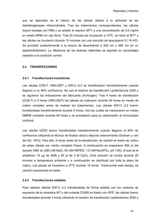 Materiales y métodos
que se depositan en el interior de las células debido a la actividad de las
deshidrogenasas mitocondriales. Tras los tratamientos correspondientes, las células
fueron lavadas con PBS y se añadió el reactivo MTT a una concentración de 0,5 mg/ml
en medio RPMI sin rojo fenol. Tras 20 minutos de incubación a 37ºC, se retiró el MTT y
las células se incubaron durante 10 minutos con una solución de isopropanol 0,1 N HCl.
Se procedió posteriormente a la lectura de absorbancia a 540 nm y 690 nm en un
espectrofotómetro. La diferencia de las lecturas obtenidas se expresó en porcentajes
respecto a la condición control.
2.4 TRANSFECCIONES
2.4.1 Transfecciones transitorias
Las células COS-7, HEK-293T y SW13 cl.2 se transfectaron transitoriamente cuando
llegaron a un 80% confluencia. Se usó el reactivo de transfección Lipofectamina 2000 y
se siguieron las indicaciones del fabricante (Invitrogen). Tras 4 horas de transfección
(COS-7) o 5 horas (HEK-293T) las células se cultivaron durante 24 horas en medio de
cultivo completo antes de realizar los tratamientos. Las células SW13 cl.2 fueron
transfectadas transitoriamente durante 5 horas, tras las cuales se mantuvieron en medio
DMEM completo durante 48 horas y se procesaron para su observación al microscopio
confocal.
Las células U2OS fueron transfectadas transitoriamente cuando llegaron al 80% de
confluencia utilizando la técnica de fosfato cálcico descrita anteriormente (Graham y van
der Eb, 1973). Para ello, 4 horas antes de la transfección, se cambió el medio de cultivo
de estas células por medio completo fresco. A continuación se prepararon 600 µl del
tampón HBS 2x (280 mM NaCl, 50 mM HEPES, 1,5 mM Na2HPO4, pH 7,05), al que se le
añadieron 10 µg de ADN y 60 µl de 2 M CaCl2. Esta solución se incubó durante 20
minutos a temperatura ambiente y a continuación se distribuyó por toda la placa de
cultivo. Las placas se incubaron a 37ºC durante 16 horas. Transcurrido este tiempo, se
cambió nuevamente el medio.
2.4.2 Transfecciones estables
Para obtener células SW13 cl.2 transfectadas de forma estable con los vectores de
expresión de la vimentina WT y del mutante C328S en fusión con GFP, las células fueron
transfectadas durante 4 horas utilizando el reactivo de transfección Lipofectamina 2000 y
43
 