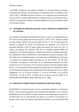 Materiales y métodos
1 mM PMSF). Finalmente, se sometieron a digestión con 100 µg/ml DNasa I en tampón
de digestión (50 mM NaCl, 300 mM sacarosa, 10 mM PIPES, pH 6,8, 3 mM MgCl2, 0,5%
Tritón X-100 y 1 mM PMSF) durante 10 minutos a 4 ºC, seguida de una incubación de 5
minutos a 20ºC en tampón suplementado con sulfato de amonio a concentración final de
250 mM. Las células fueron fijadas con paraformaldehído al 4% para su posterior análisis
al microscopio confocal.
2.9 ISOTERMAS DE UNIÓN DE LBD-PPARγ A ANS Y ENSAYOS DE COMPETICIÓN
DE LIGANDOS
Las medidas de intensidad de fluorescencia se llevaron a cabo en un espectrofluorómetro
PC1 photon counting steady state ISS (Champaign, IL, USA), a 20 ºC, utilizando cubetas
de cuarzo (Starna, Hinault, UK) cuyo paso óptico fue de 3 x 3 mm. En cada punto de la
titulación, el espectro de emisión de fluorescencia fue registrado y los valores de
intensidad obtenidos a 465 nm fueron usados para generar las curvas de unión. La
emisión de muestras que contenían ANS pero no contenían proteína PPARγ fue
registrada en las mismas condiciones y restada para eliminar la contribución del fondo.
Las isotermas de unión se determinaron a tres longitudes de onda de excitación (350,
375 y 400 nm) con resultados similares. La concentración de LBD-PPARγ fue de 0,34 μM,
y el tampón de incubación estaba compuesto por 20 mM Tris-HCl, 150 mM NaCl,
2 mM EDTA, 10% glicerol y 1 mM TCEP, pH 7,5. Valoraciones paralelas en el mismo
tampón pero con 3% en lugar de 10% de glicerol produjeron isotermas idénticas dentro
del error, lo que descarta un efecto específico del glicerol sobre la interacción con ANS.
En los ensayos de competición, las concentraciones de los ligandos fueron: 0,5 y 1 µM de
rosiglitazona, 0,5, 5 y 10 µM de 15d-PGJ2, 1 y 5 µM de CAY10410, 10 y 20 µM de
15d-PGJ2-B, y 20 µM de PGA1. El análisis de las curvas de unión se realizó con el
programa BIO-EQS (Rosales y Royer, 2008; Royer et al., 1990).
2.10 ENSAYOS DE COMPETICIÓN DE LIGANDOS DE LBD-PPARγ EN GEL
El LBD-PPARγ fue incubado durante una hora a temperatura ambiente a concentración
final de 1 µM con diversos ligandos en las concentraciones indicadas, o con un volumen
equivalente de vehículo (DMSO). El tampón utilizado en las incubaciones se componía de
20 mM Tris-HCl, pH 7,5, 150 mM NaCl, 5% glicerol y 0,1 mM DTT. A continuación, se
añadió a cada mezcla de incubación iodacetamida biotinilada a una concentración final
46
 