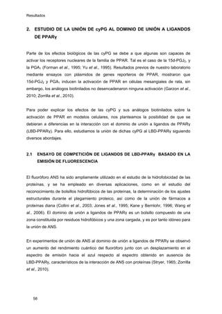 Resultados
2. ESTUDIO DE LA UNIÓN DE cyPG AL DOMINIO DE UNIÓN A LIGANDOS
DE PPARγ
Parte de los efectos biológicos de las cyPG se debe a que algunas son capaces de
activar los receptores nucleares de la familia de PPAR. Tal es el caso de la 15d-PGJ2, y
la PGA1 (Forman et al., 1995; Yu et al., 1995). Resultados previos de nuestro laboratorio
mediante ensayos con plásmidos de genes reporteros de PPAR, mostraron que
15d-PGJ2 y PGA1 inducen la activación de PPAR en células mesangiales de rata, sin
embargo, los análogos biotinilados no desencadenaron ninguna activación (Garzon et al.,
2010; Zorrilla et al., 2010).
Para poder explicar los efectos de las cyPG y sus análogos biotinilados sobre la
activación de PPAR en modelos celulares, nos planteamos la posibilidad de que se
debieran a diferencias en la interacción con el dominio de unión a ligandos de PPARγ
(LBD-PPARγ). Para ello, estudiamos la unión de dichas cyPG al LBD-PPARγ siguiendo
diversos abordajes.
2.1 ENSAYO DE COMPETICIÓN DE LIGANDOS DE LBD-PPARγ BASADO EN LA
EMISIÓN DE FLUORESCENCIA
El fluoróforo ANS ha sido ampliamente utilizado en el estudio de la hidrofobicidad de las
proteínas, y se ha empleado en diversas aplicaciones, como en el estudio del
reconocimiento de bolsillos hidrofóbicos de las proteínas, la determinación de los ajustes
estructurales durante el plegamiento proteico, así como de la unión de fármacos a
proteínas diana (Collini et al., 2003; Jones et al., 1995; Kane y Bernlohr, 1996; Wang et
al., 2006). El dominio de unión a ligandos de PPARγ es un bolsillo compuesto de una
zona constituida por residuos hidrofóbicos y una zona cargada, y es por tanto idóneo para
la unión de ANS.
En experimentos de unión de ANS al dominio de unión a ligandos de PPARγ se observó
un aumento del rendimiento cuántico del fluoróforo junto con un desplazamiento en el
espectro de emisión hacia el azul respecto al espectro obtenido en ausencia de
LBD-PPARγ, característicos de la interacción de ANS con proteínas (Stryer, 1965; Zorrilla
et al., 2010).
58
 