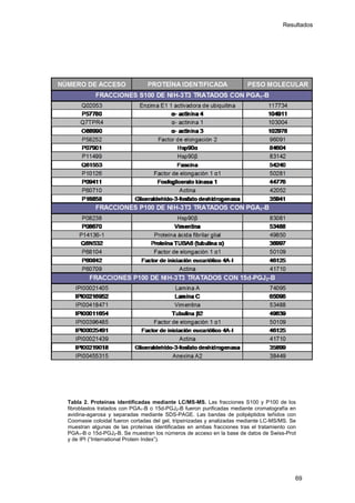 Resultados
Tabla 2. Proteínas identificadas mediante LC/MS-MS. Las fracciones S100 y P100 de los
fibroblastos tratados con PGA1-B o 15d-PGJ2-B fueron purificadas mediante cromatografía en
avidina-agarosa y separadas mediante SDS-PAGE. Las bandas de polipéptidos teñidos con
Coomasie coloidal fueron cortadas del gel, tripsinizadas y analizadas mediante LC-MS/MS. Se
muestran algunas de las proteínas identificadas en ambas fracciones tras el tratamiento con
PGA1-B o 15d-PGJ2-B. Se muestran los números de acceso en la base de datos de Swiss-Prot
y de IPI (“International Protein Index”).
69
 