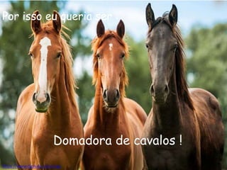 https://www.digikala.com/mag
Por isso eu queria ser :
Domadora de cavalos !
 