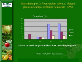 XI SICONBIOL 2009, “Controle biológico de pragas de fruteiras tropicais” 
0 
5 
10 
15 
20 
25 
30 
35 
40 
50 
100 
200 
300 
Número de casais do parasitoide exótico liberados por gaiola 
MAX 
MÉDIA 
MIN 
FONTE - CNPq, 1999 – Relatório Técnico 
Parasitismo (%) 
Parasitismo por D. longicaudata sobre A. obliqua 
gaiolas de campo -Embrapa Semiárido (1999) 
 