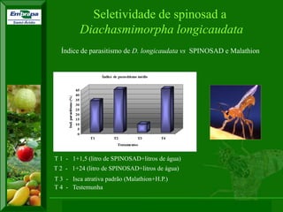 XI SICONBIOL 2009, “Controle biológico de pragas de fruteiras tropicais” 
Seletividade de spinosad a 
Diachasmimorpha longicaudata 
Índice de parasitismo de D. longicaudata vs SPINOSAD e Malathion 
T 1 - 1+1,5 (litro de SPINOSAD+litros de água) 
T 2 - 1+24 (litro de SPINOSAD+litros de água) 
T 3 - Isca atrativa padrão (Malathion+H.P.) 
T 4 - Testemunha  
