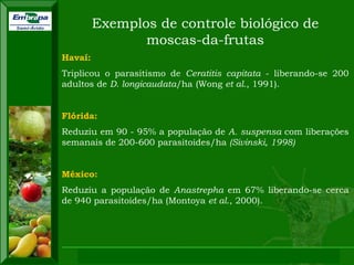 XI SICONBIOL 2009, “Controle biológico de pragas de fruteiras tropicais” 
Exemplos de controle biológico de 
moscas-da-frutas 
Havaí: 
Triplicou o parasitismo de Ceratitis capitata - liberando-se 200 
adultos de D. longicaudata/ha (Wong et al., 1991). 
Flórida: 
Reduziu em 90 - 95% a população de A. suspensa com liberações 
semanais de 200-600 parasitoides/ha (Sivinski, 1998) 
México: 
Reduziu a população de Anastrepha em 67% liberando-se cerca 
de 940 parasitoides/ha (Montoya et al., 2000). 
 