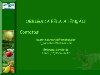 XI SICONBIOL 2009, “Controle biológico de pragas de fruteiras tropicais” 
8th International Symposium on Fruit Fly of Economic Importance (ISFFEI) 
Valencia -Spain , from 26 Sept to 01 Oct 2010 
OBRIGADA PELA ATENÇÃO! 
Contatos: 
beatriz.paranhos@embrapa.br 
b_paranhos@hotmail.com 
Embrapa Semiárido 
Fone: (87)3866-3747 
XXIV CONGRESSO BRASILEIRO DE ENTOMOLOGIA 
Curitiba-PR, 16 a 21 de setembro de 2012 
XXII CONGRESSO BRASILEIRO DE FRUTICULTURA 
Bento Gonçalves-RS, 22 a 26 de outubro de 2012 
Semiárido 
 