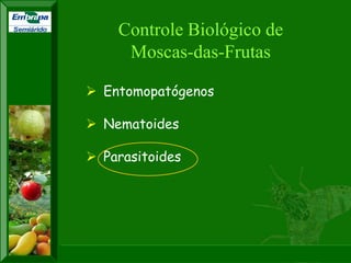 XI SICONBIOL 2009, “Controle biológico de pragas de fruteiras tropicais” 
XXII CONGRESSO BRASILEIRO DE FRUTICULTURA 
Bento Gonçalves-RS, 22 a 26 de outubro de 2012 
Semiárido 
 Entomopatógenos 
 Nematoides 
 Parasitoides 
Controle Biológico de 
Moscas-das-Frutas 
 