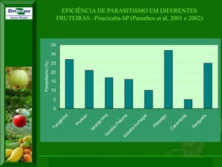 XI SICONBIOL 2009, “Controle biológico de pragas de fruteiras tropicais” 
EFICIÊNCIA DE PARASITISMO EM DIFERENTES 
FRUTEIRAS –Piracicaba-SP (Paranhos et al, 2001 e 2002) 
0 
5 
10 
15 
20 
25 
30 
35 
Tangerina 
Ponkan 
laranja lima 
Goiaba Paluma 
Goiaba kumagai 
Pêssego 
Carambola 
Seriguela 
Parasitismo (%) 
 