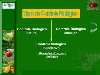 XI SICONBIOL 2009, “Controle biológico de pragas de fruteiras tropicais” 
Controle Biológico natural 
Controle biológico inundativo 
Liberações do agente biológico 
Controle Biológico clássico  