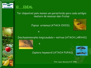 XI SICONBIOL 2009, “Controle biológico de pragas de fruteiras tropicais” 
8th International Symposium on Fruit Fly of Economic Importance (ISFFEI) 
Valencia -Spain , from 26 Sept to 01 Oct 2010 
XXIV CONGRESSO BRASILEIRO DE ENTOMOLOGIA 
Curitiba-PR, 16 a 21 de setembro de 2012 
O IDEAL 
Ter disponível pelo menos um parasitoide para cada estágio 
imaturo de moscas-das-frutas 
Fopius arisanus (ATACA OVOS) 
e 
Diachasmimorpha longicaudata + nativos (ATACA LARVAS) 
e 
Coptera haywardi (ATACA PUPAS) 
XXII CONGRESSO BRASILEIRO DE FRUTICULTURA 
Bento Gonçalves-RS, 22 a 26 de outubro de 2012 
Semiárido 
Foto: Aguiar-Menezes et al., 2003 
 