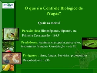 XI SICONBIOL 2009, “Controle biológico de pragas de fruteiras tropicais” 
O que é o Controle Biológico de Pragas? 
Quais os meios? 
Patógenos : vírus, fungos, bactérias, protozoários 
Descoberto em 1836 
Predadores: joaninha, crysoperla, percevejos, tesourinha- Primeira Constatação – séc III 
Parasitoides: Himenópteros, dípteros, etc. 
Primeira Constatação - 1685  