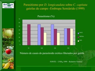 XI SICONBIOL 2009, “Controle biológico de pragas de fruteiras tropicais” 
0 
10 
20 
30 
40 
50 
60 
70 
50 
100 
200 
300 
Número de casais do parasitoide exótico liberados por gaiola 
Parasitismo (%) 
MAX 
MÉDIA 
MIN 
FONTE - CNPq, 1999 – Relatório Técnico 
Parasitismo por D. longicaudata sobre C. capitata 
gaiolas de campo -Embrapa Semiárido (1999) 
 