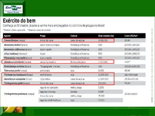 XI SICONBIOL 2009, “Controle biológico de pragas de fruteiras tropicais”  