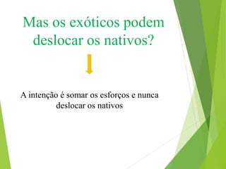Mas os exóticos podem
deslocar os nativos?
A intenção é somar os esforços e nunca
deslocar os nativos
 