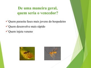 De uma maneira geral,
quem seria o vencedor?
Quem parasita fases mais jovens do hospedeiro
Quem desenvolve mais rápido
Quem injeta veneno
 