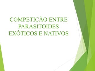 COMPETIÇÃO ENTRE
PARASITOIDES
EXÓTICOS E NATIVOS
 