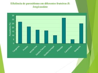 Eficiência de parasitismo em diferentes fruteiras D.
longicaudata
0
5
10
15
20
25
30
35
Tangerina
Ponkan
laranja
lim
aG
oiaba
Palum
aG
oiaba
kum
agai
Pêssego
C
aram
bola
Seriguela
Parasitismo(%)
 