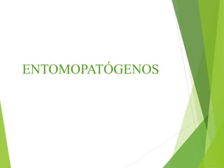 ENTOMOPATÓGENOS
 